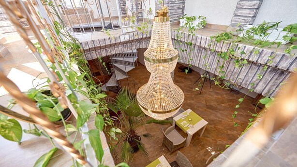 Un comedor con candelabro, mesas, sillas y plantas en macetas.