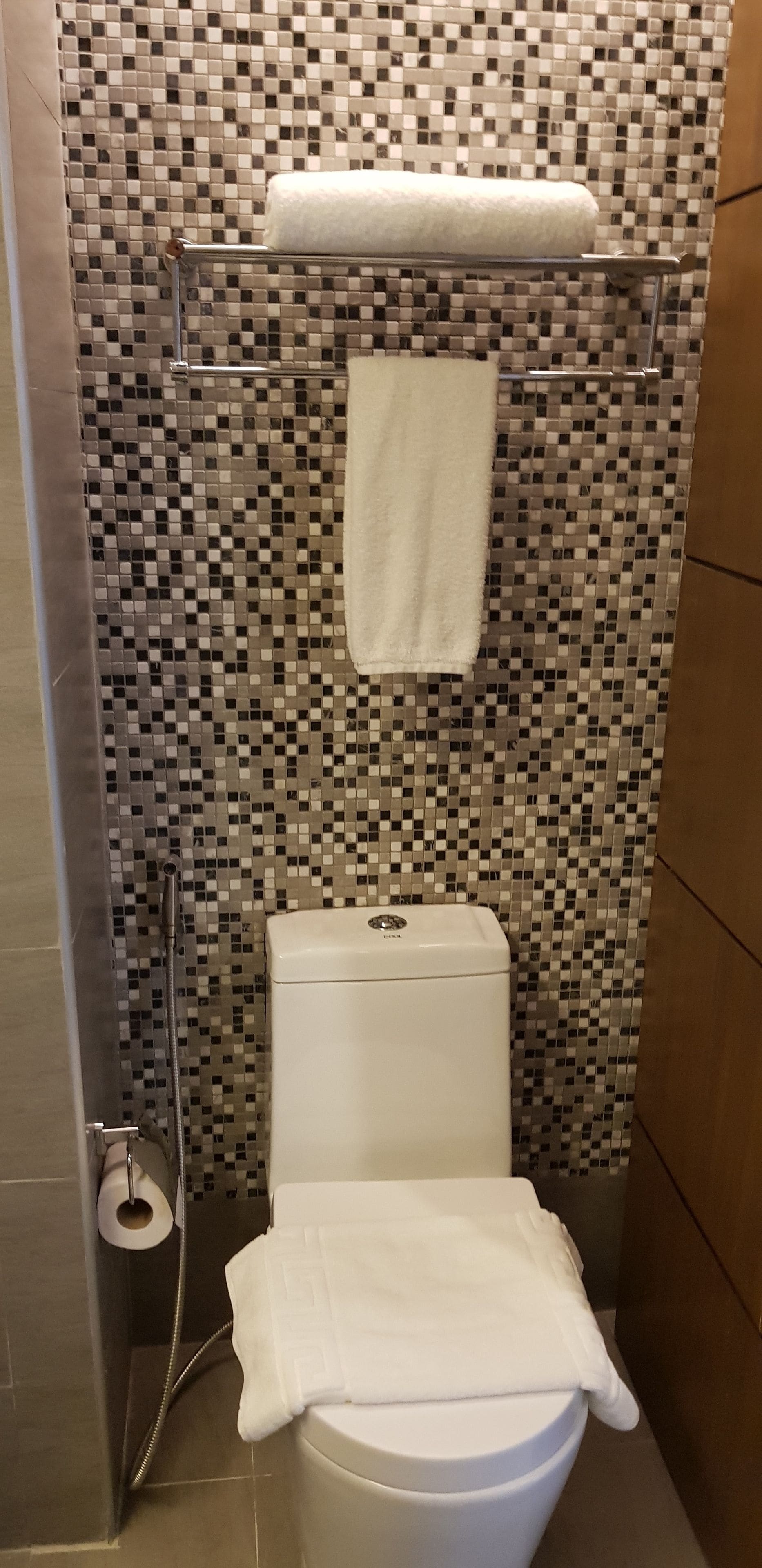 Un baño con inodoro, ducha y pared de mosaicos.