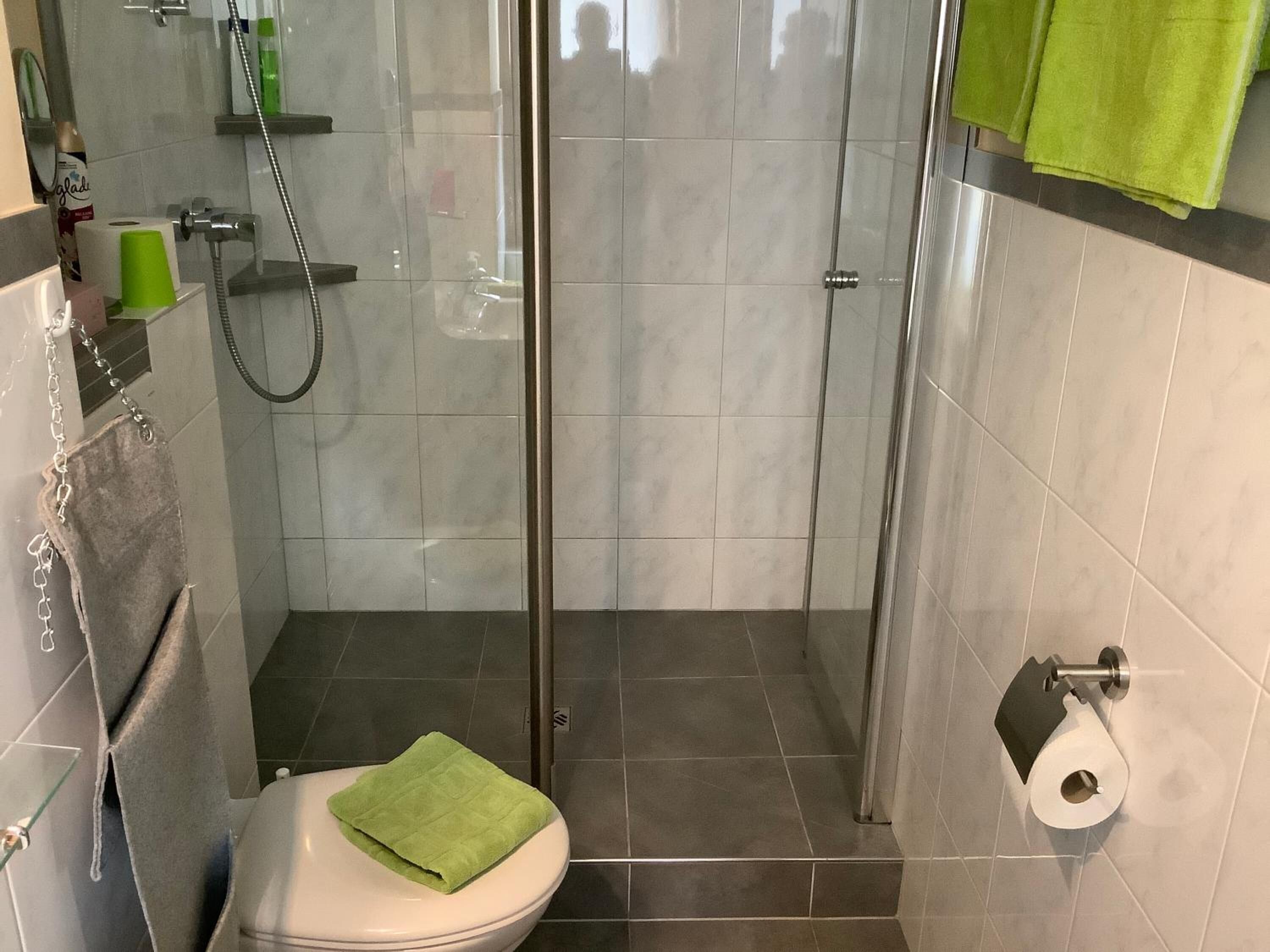 A bathroom with a toilet, a shower enclosure, and a toilet paper holder.