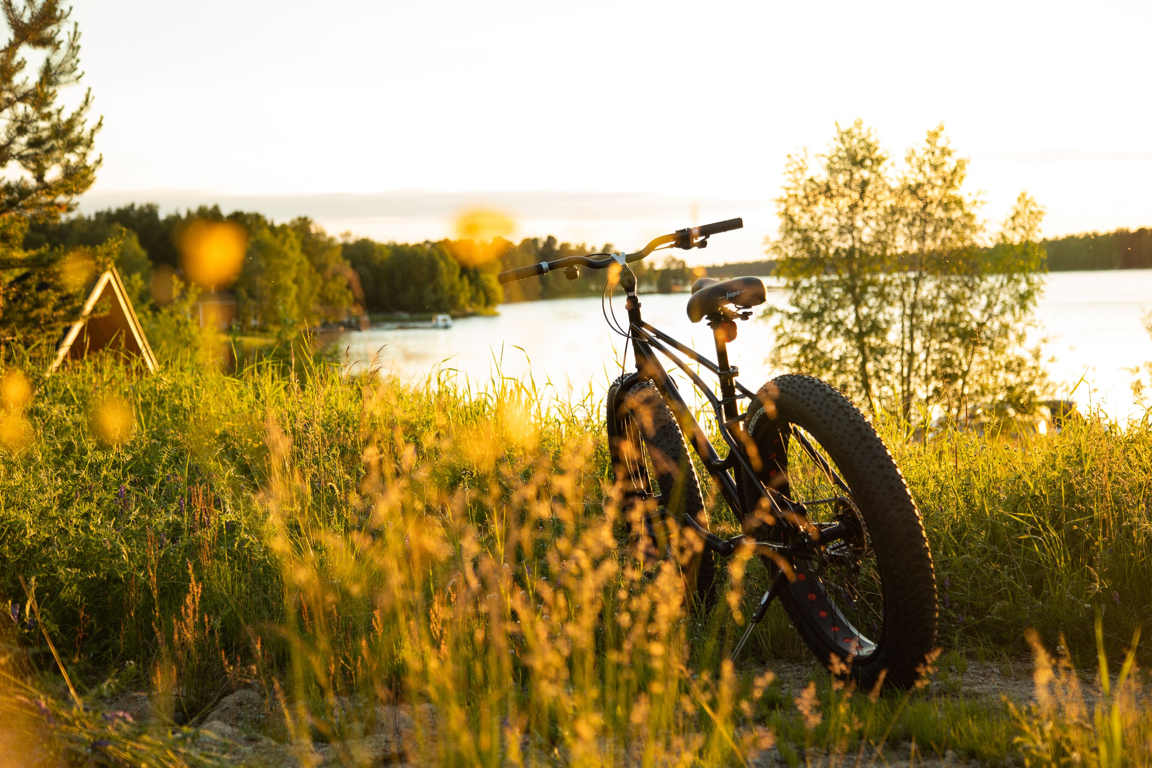 A bicycle parked in a grassy area with a lake and trees in the background.