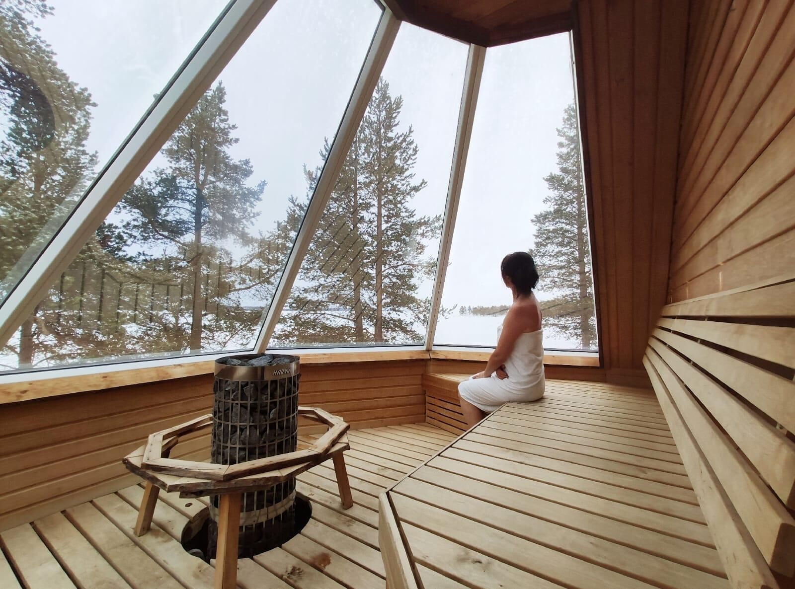 A person sitting in a wooden cabin with a large window, a wood-burning stove, and a view of a forest.