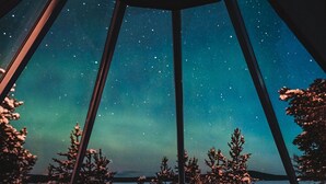 A room with a bed, a window, and a view of the night sky. - Wilderness Hotel Inari & Igloos (Inari)