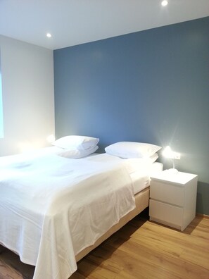 Chambre Double ou avec lits jumeaux, salle de bains privée
