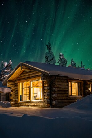 Panorama Log Cabin