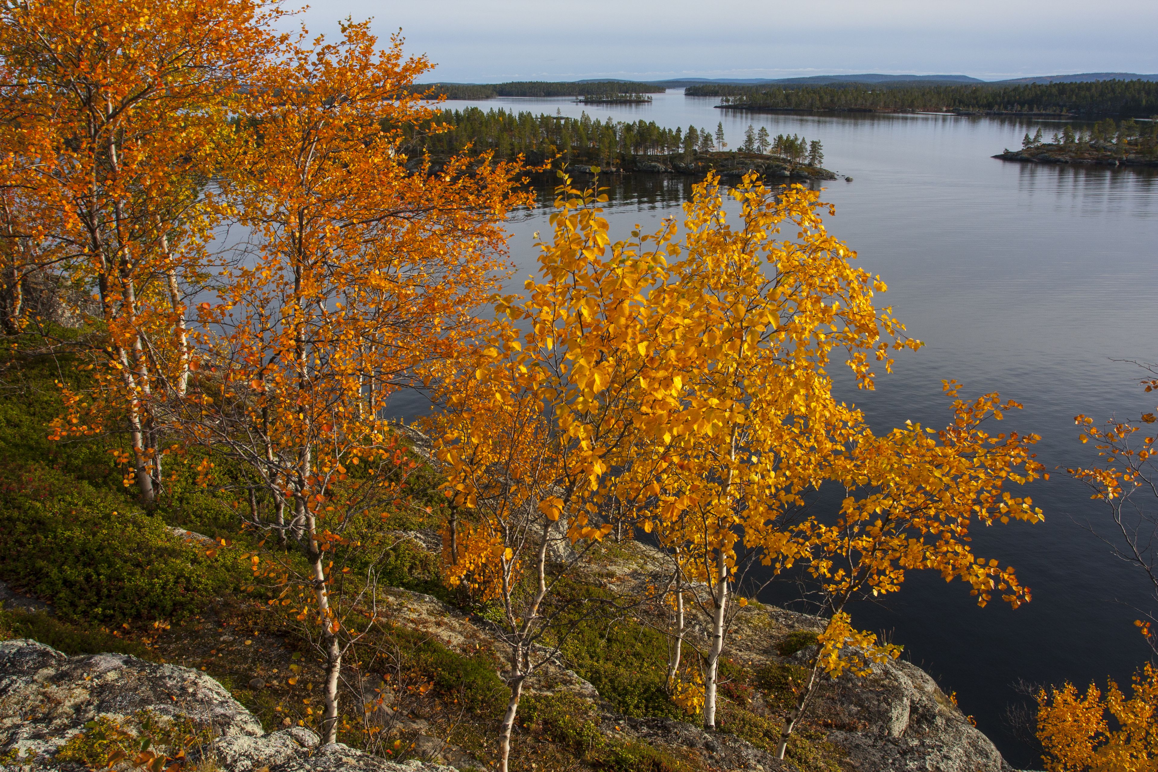 A lakeside view with autumn foliage and rocky terrain.