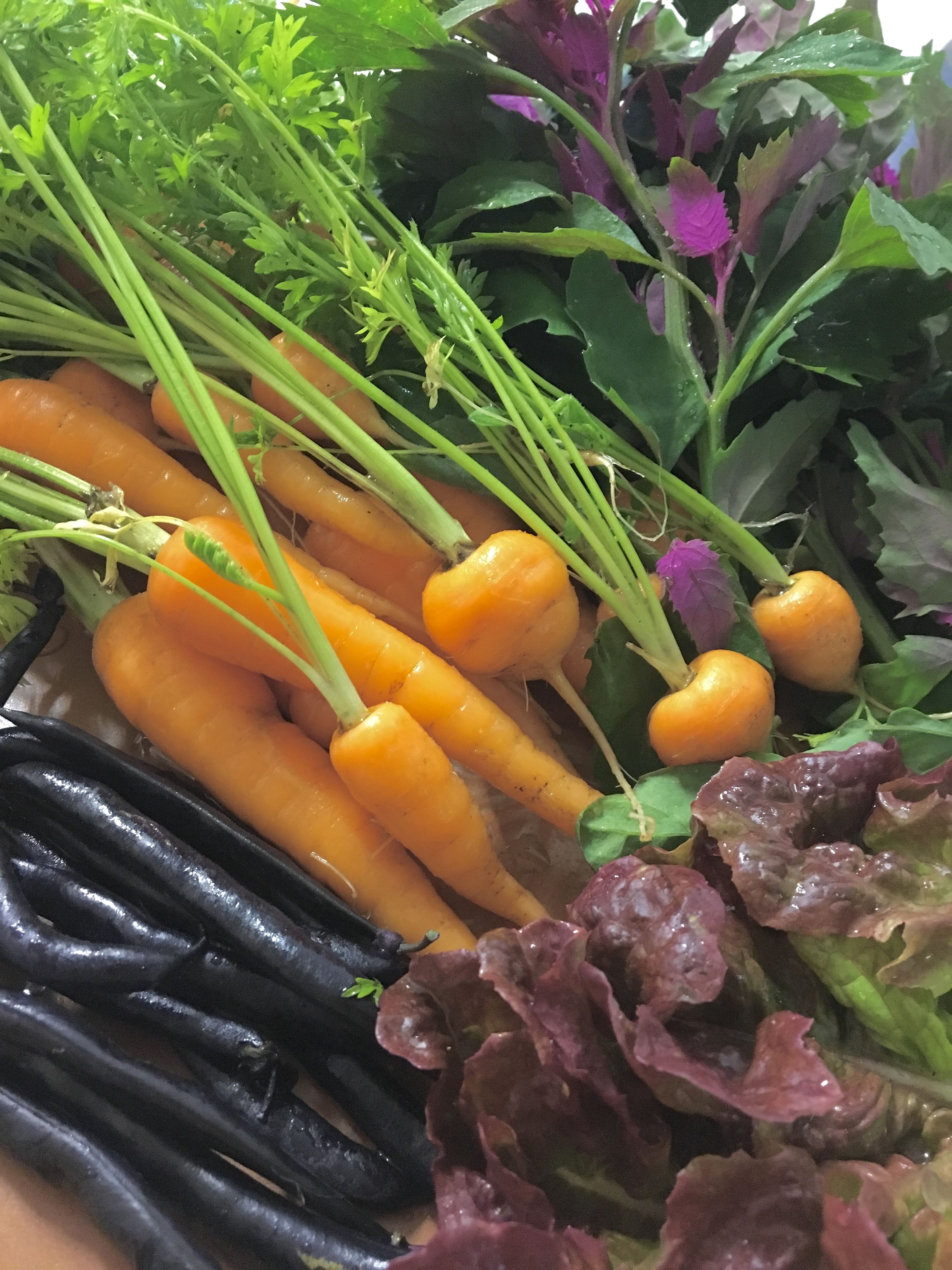 A variety of fresh vegetables including carrots, black beans, and leafy greens.