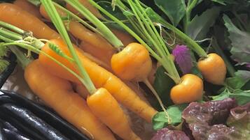 A variety of fresh vegetables including carrots, black beans, and leafy greens.