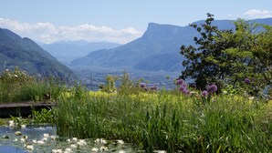 A natural landscape with mountains, a body of water with lily pads, and wildflowers. - MARINIs giardino Hotel (Tirolo)