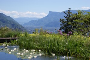 Vue sur les montagnes