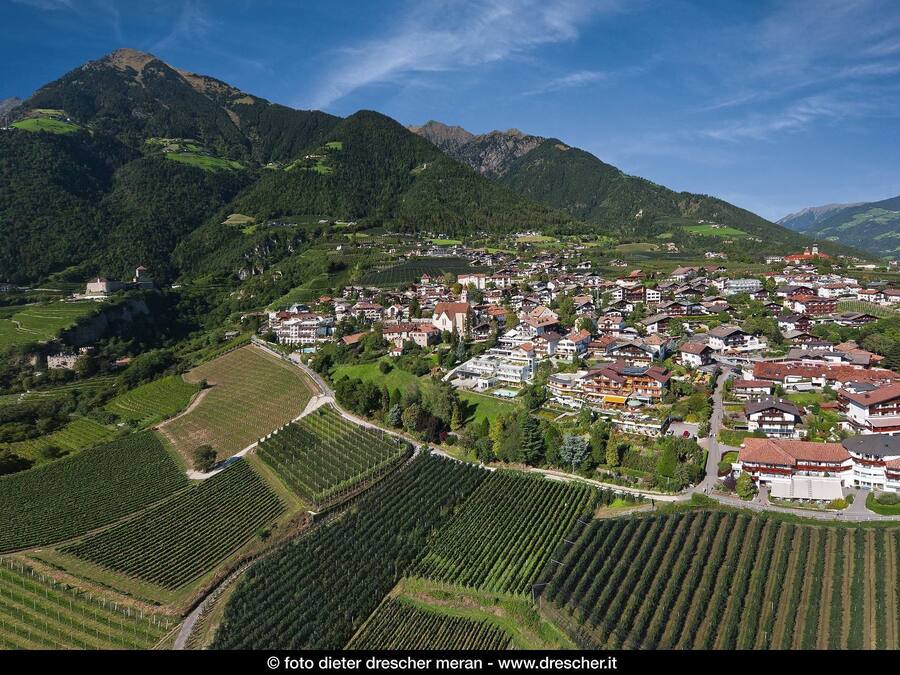 Une ville nichée dans une vallée, entourée de vignobles et dominée par une chaîne de montagnes.
