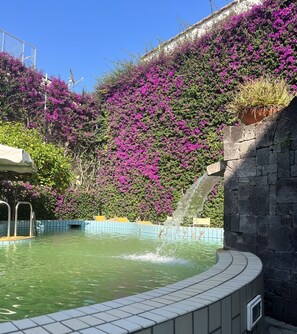 Outdoor pool - Hotel Villa Ciccio (Ischia)