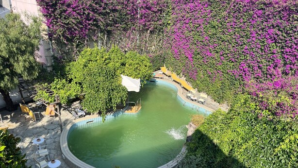 Piscina cercada por vegetação exuberante e flores roxas, com algumas cadeiras de descanso e uma área de estar coberta.