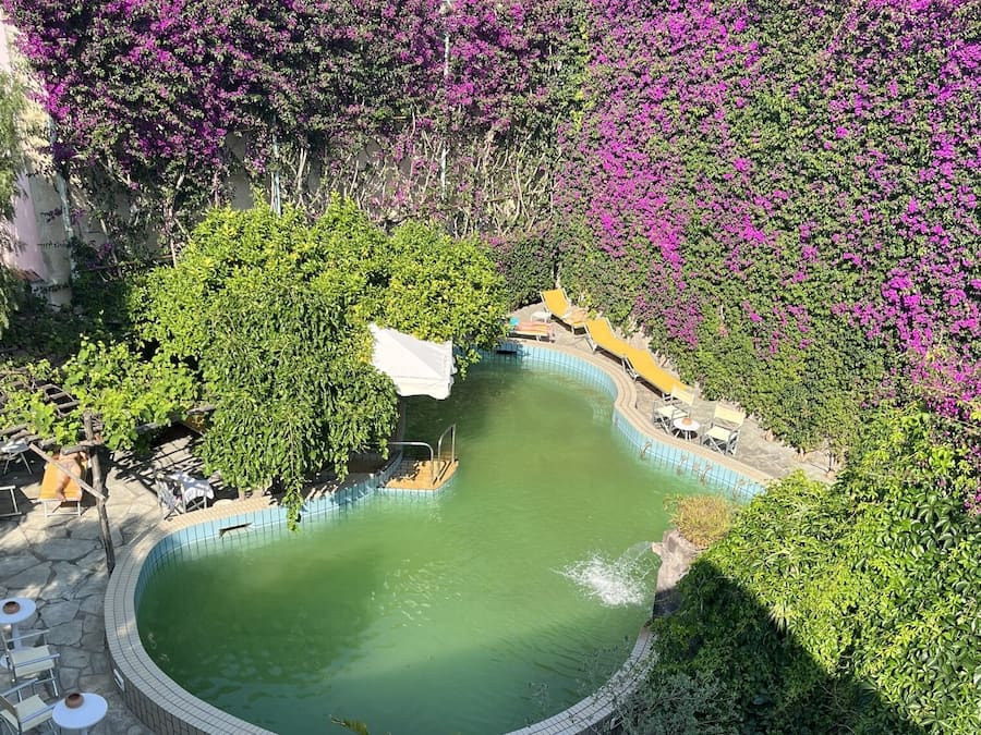 Piscina natural