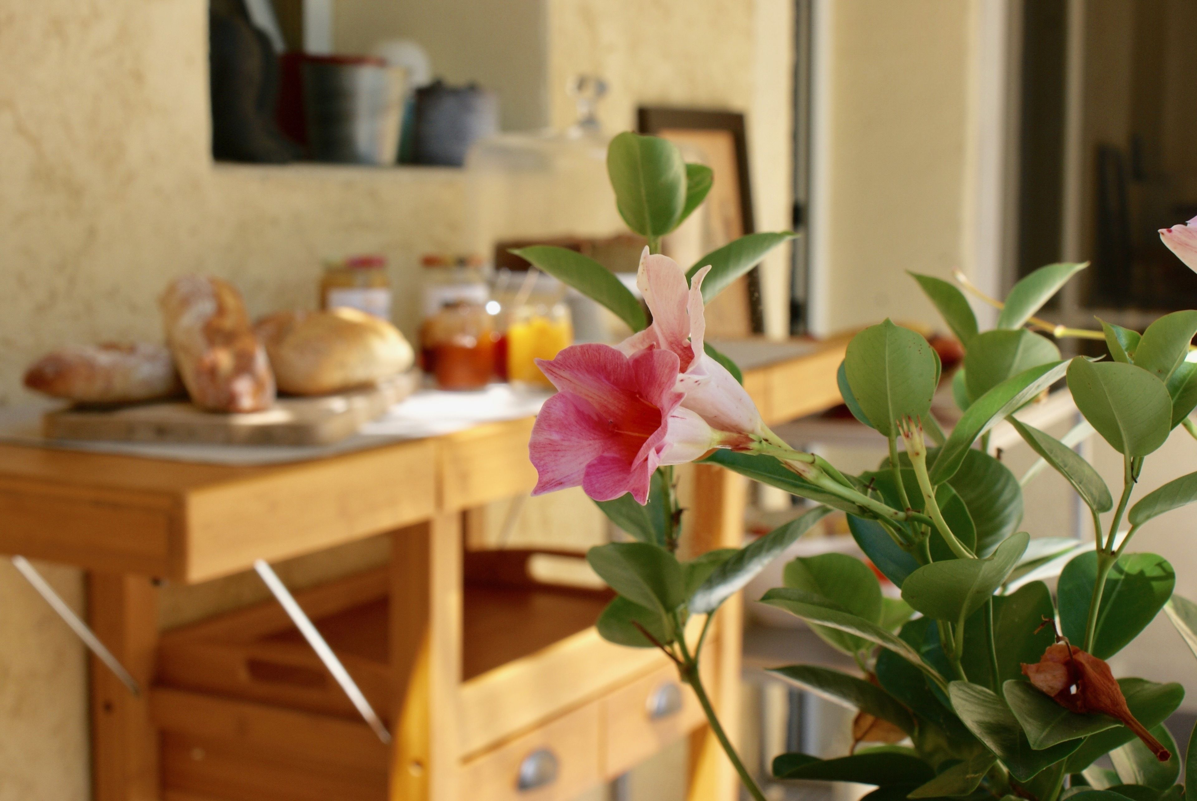 Photo - Couette et Café