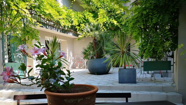 A potted plant on a table with a view of a courtyard.