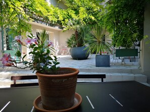 A potted plant on a table with a view of a courtyard. - Couette et Cafe (Montpellier)
