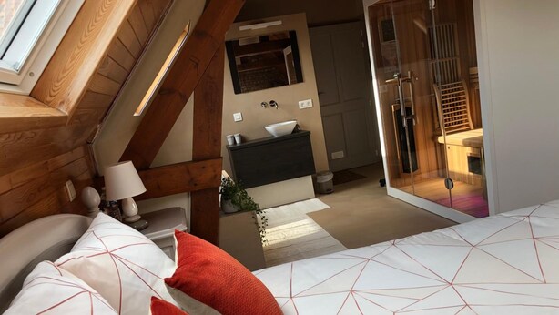 A bedroom with a sloped ceiling, a bed with white bedding and red pillows, a bedside table with a lamp, and a view of a bathroom with a sink and mirror. - B&B 't Wolvennest (Heuvelland)