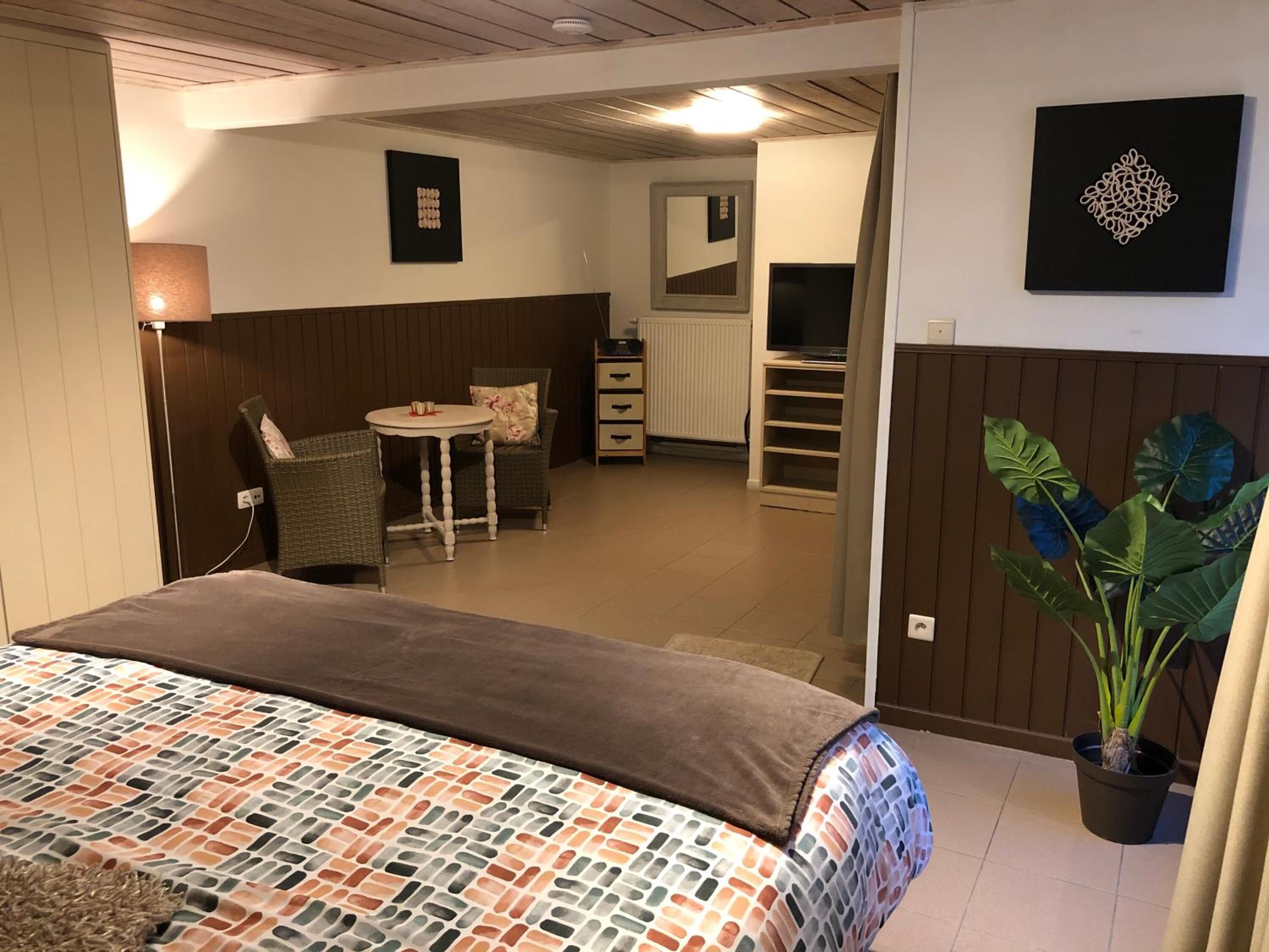 A hotel room with a bed, a small dining table, chairs, a television, and a potted plant.