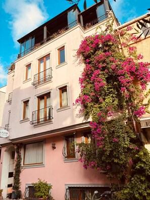 숙박 시설 정면 - 저녁/밤