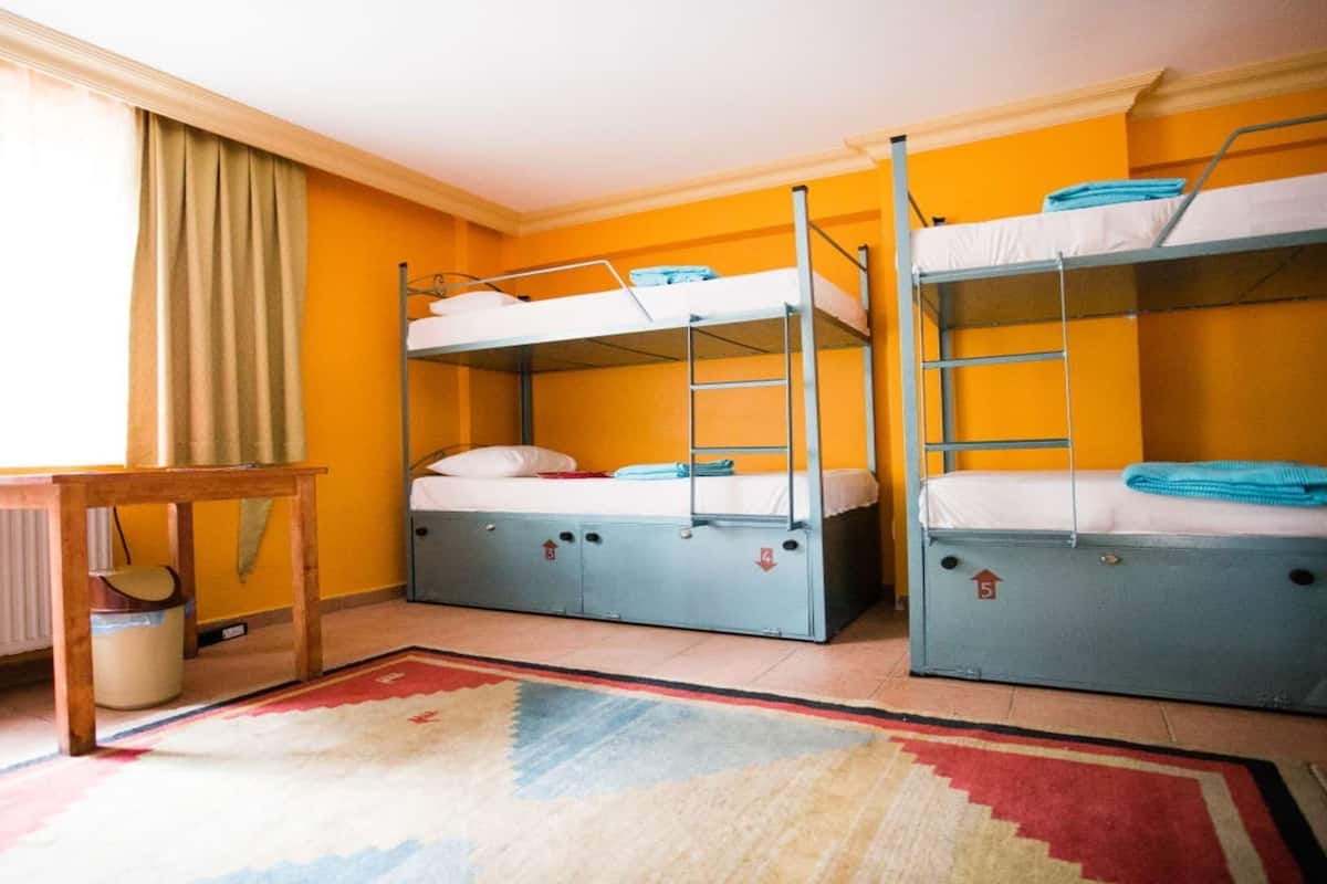 Shared Mixed Dormitory, (8 Beds) (Ages 18-39) | Hypo-allergenic bedding, minibar, in-room safe, individually decorated