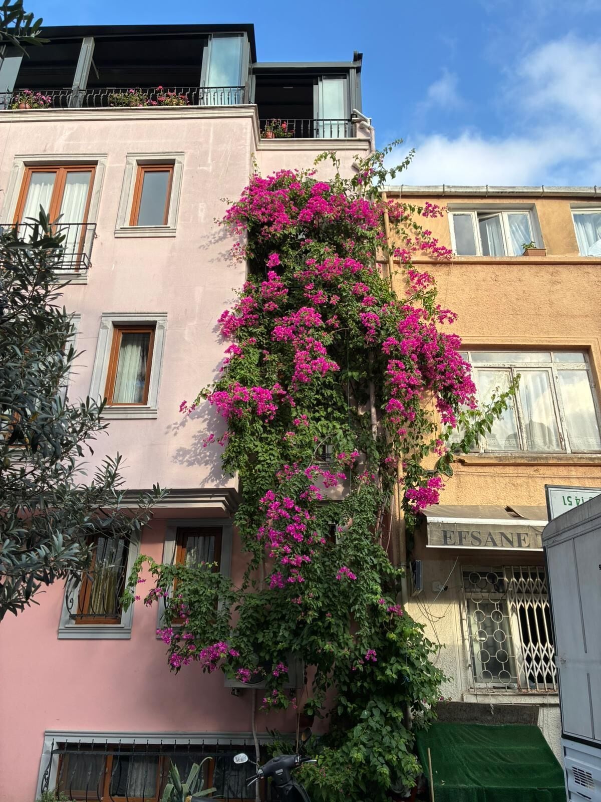 住宿正面 (夜晚)