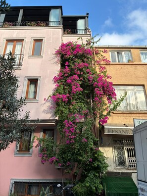 숙박 시설 정면 - 저녁/밤