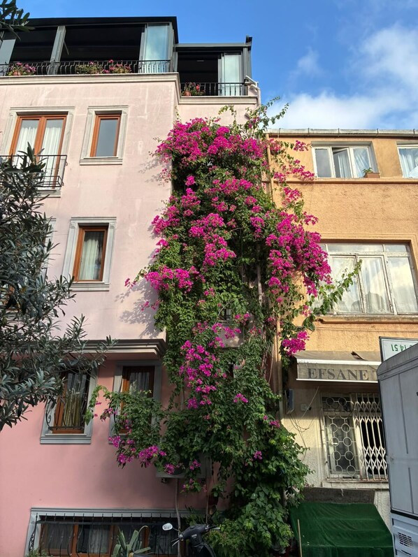 Front of property – evening/night - Agora Guesthouse & Hostel (Istanbul)