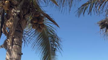 En la playa, sillas reclinables de playa, sombrillas, buceo