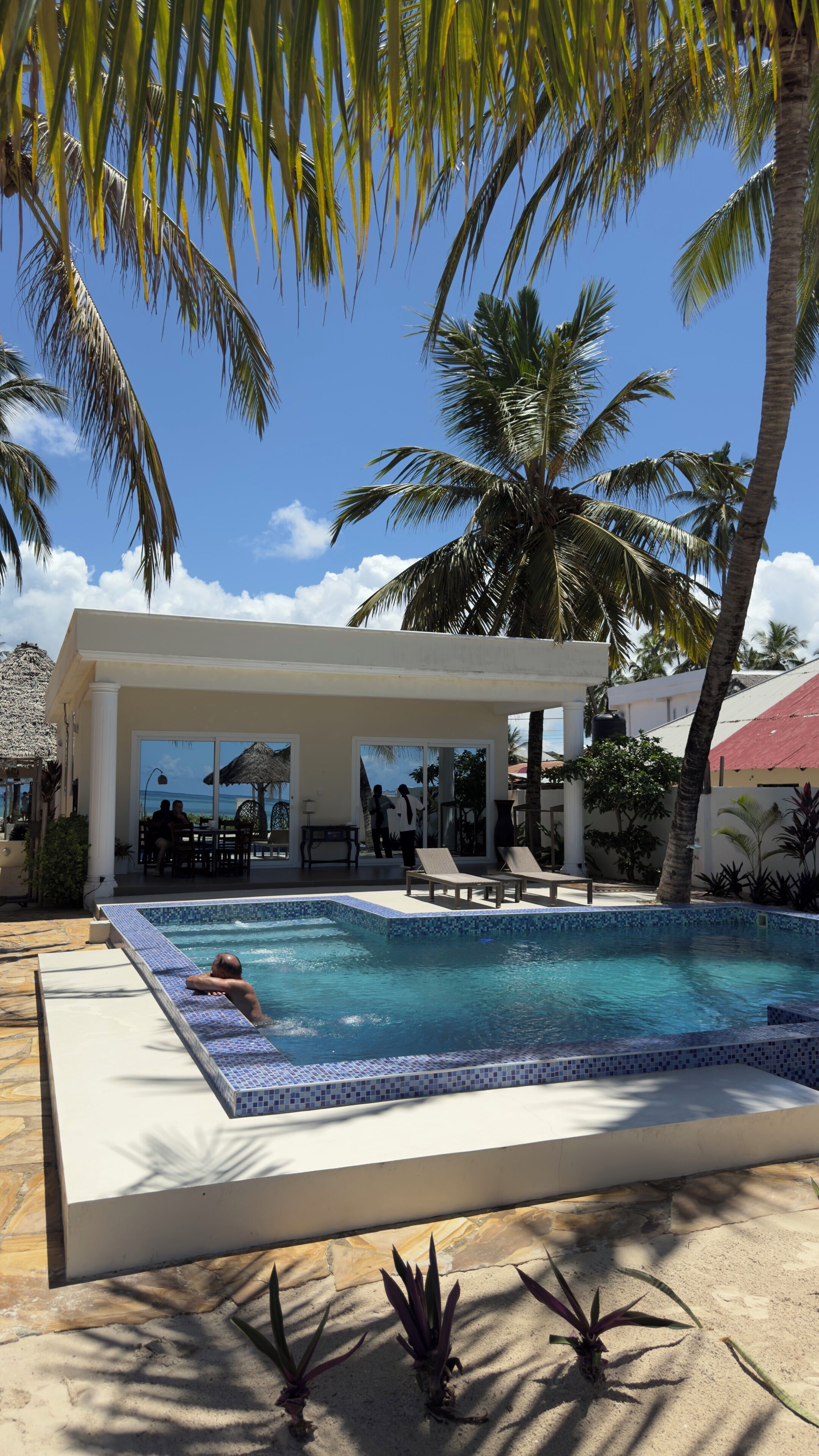Outdoor pool, pool umbrellas, sun loungers
