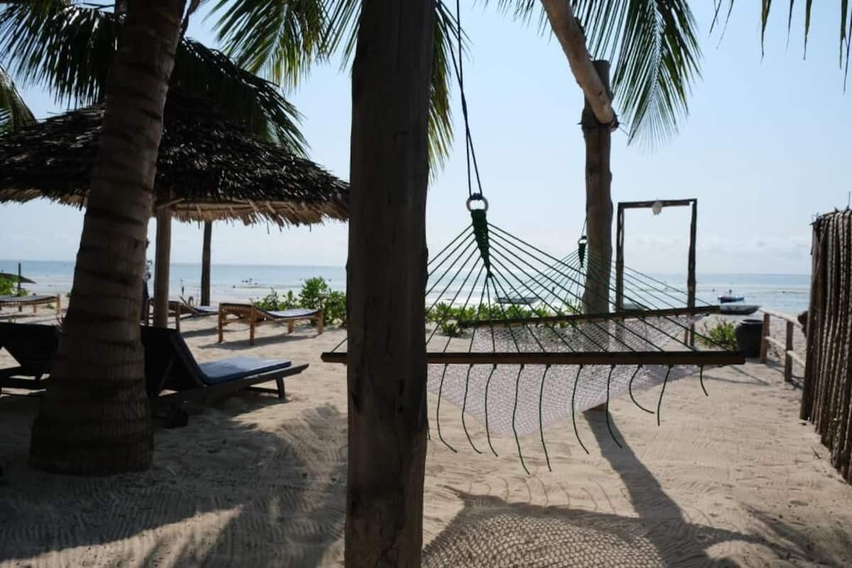 Ein Strand mit einer Hängematte, Palmen und Liegestühlen.