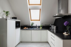 华丽公寓, 露台 | 私人厨房 | 大冰箱、微波炉、炉灶、洗碗机