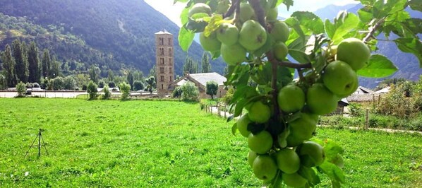 Garden - Hotel El Rantiner (La Vall de Boi)