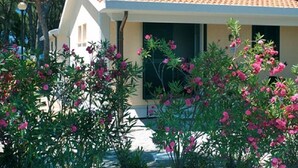 Una casa con techo de tejas, una ventana y plantas florecientes de color rosa en primer plano.