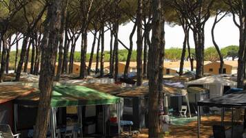 Overnattingsstedets uteområder