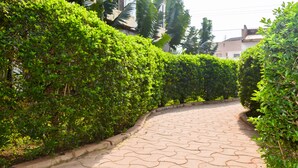 Unclassified image, 2 of 19, button - Hotel Eleanorah (Kampala)