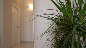 Un pasillo con una planta, una puerta y una pared con una lámpara.