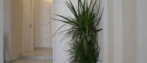 A hallway with a potted plant, a door, and a light fixture.