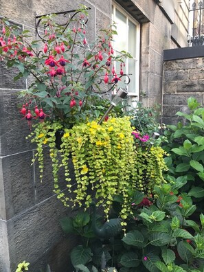 View from property - 22 Chester street (Edinburgh)