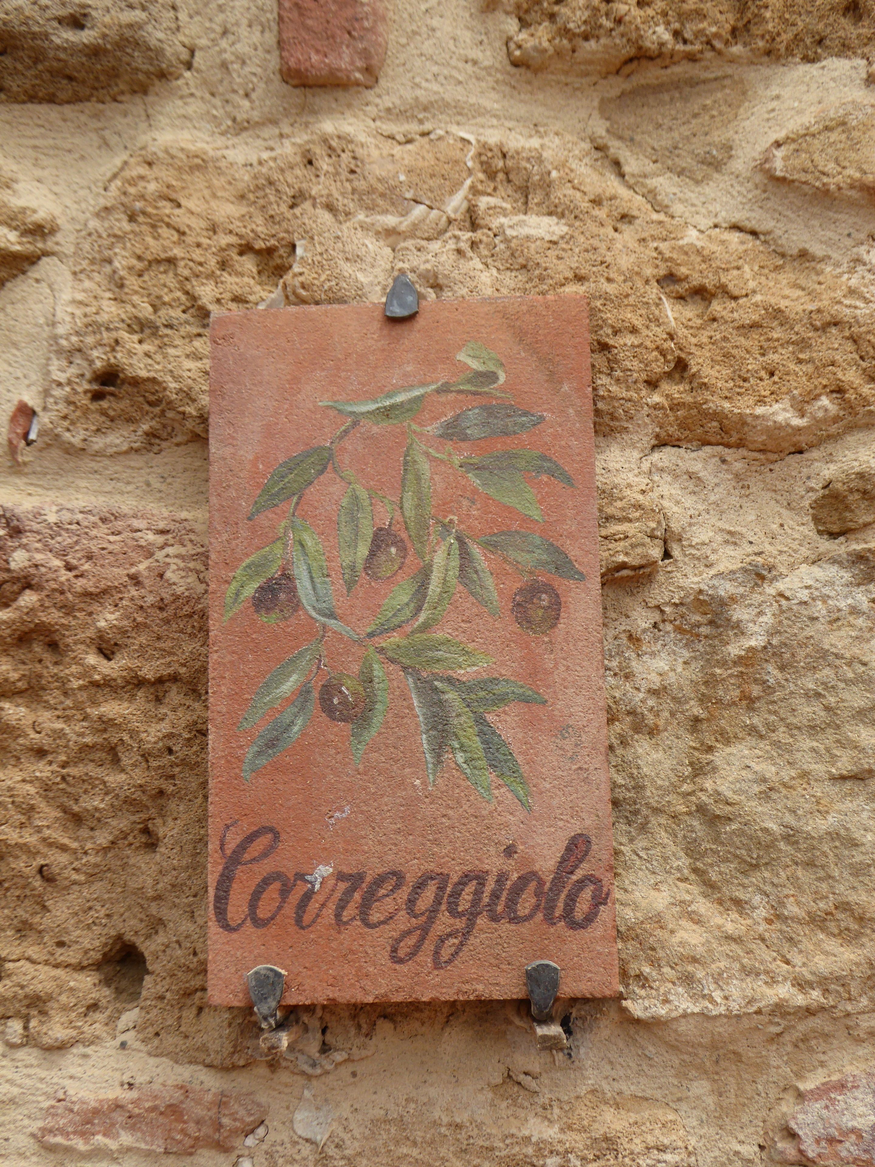 Un letrero con un diseño de planta y la palabra 'Correggio' en una pared texturizada.
