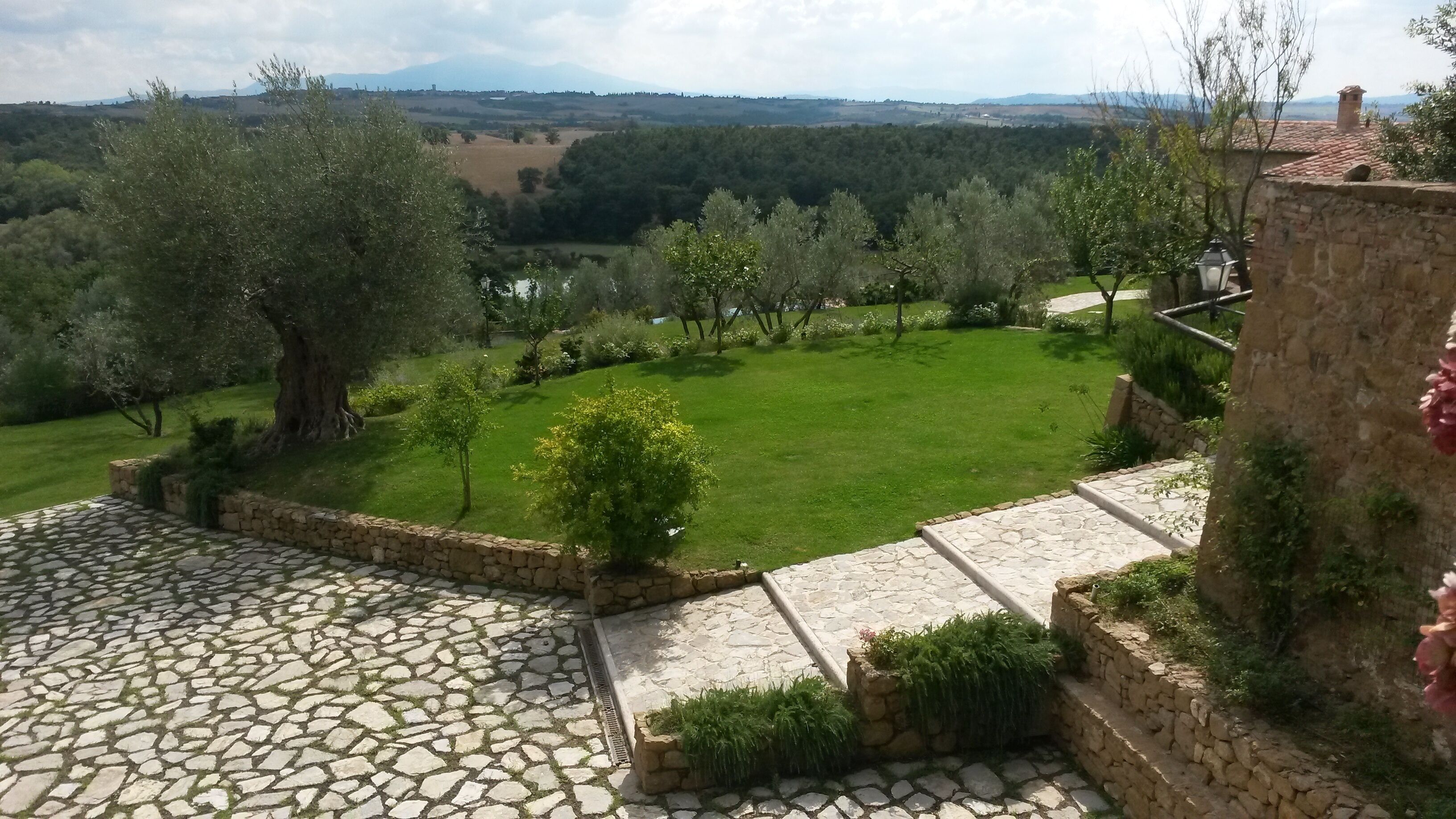 A stone-paved patio with a view of a well-maintained lawn and trees.