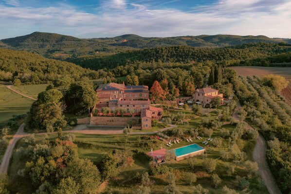 เดินป่า