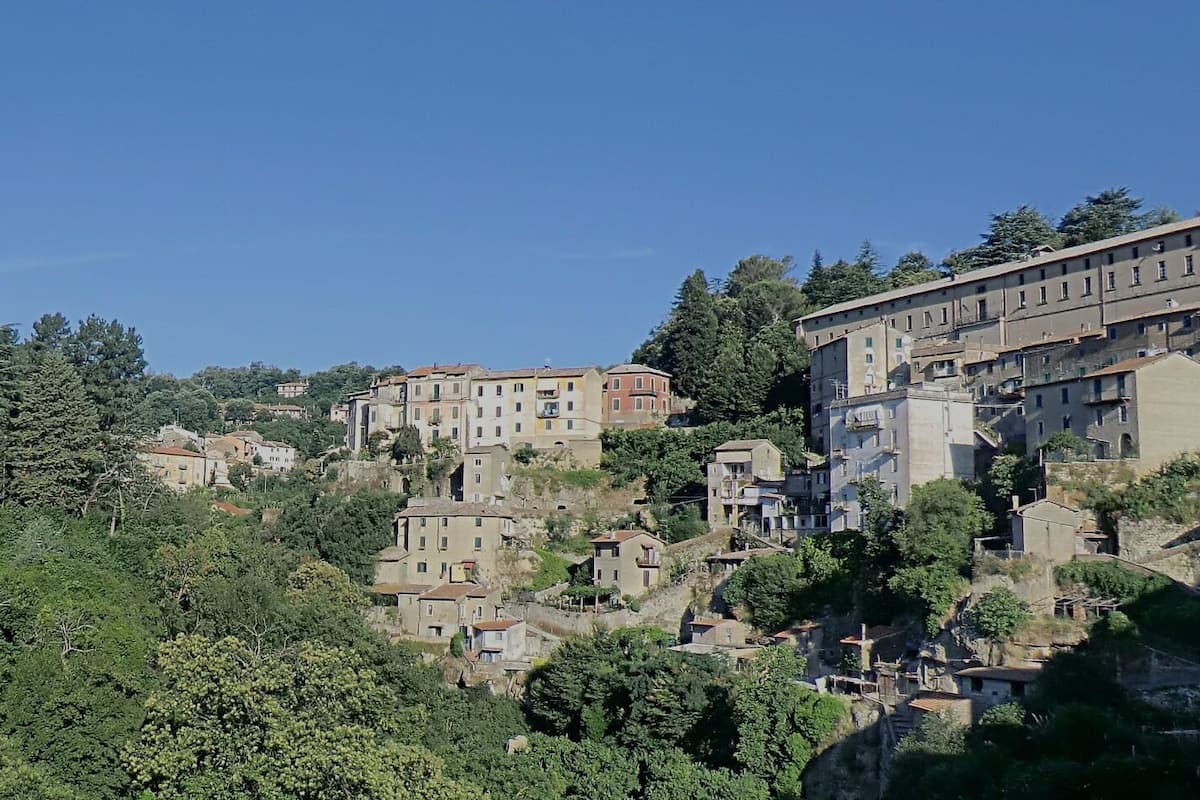 A hillside town with historic buildings, dense greenery, and terraced structures.