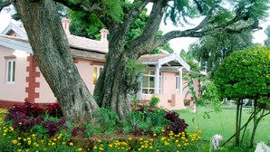 Una casa con un árbol grande en el frente, rodeada de un jardín con diversas flores.