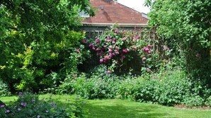 Property grounds - Brimford House (Shrewsbury)