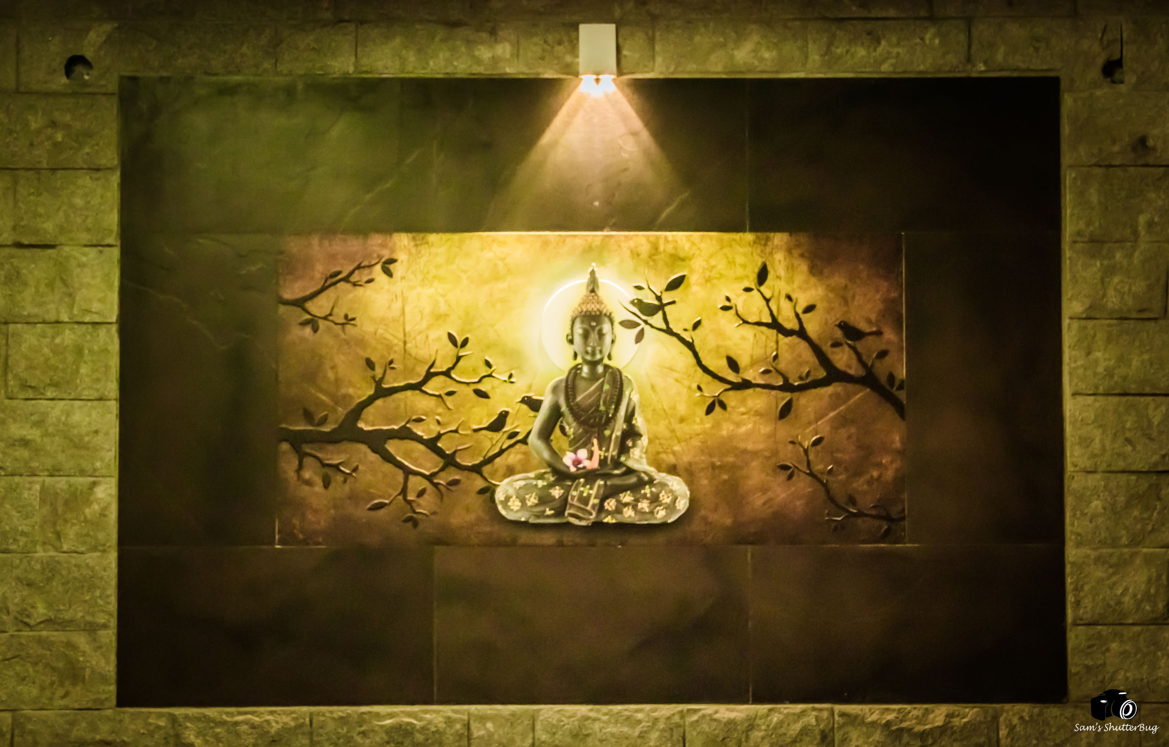 A wall-mounted Buddha statue with a halo, surrounded by branches and leaves, illuminated by a spotlight.