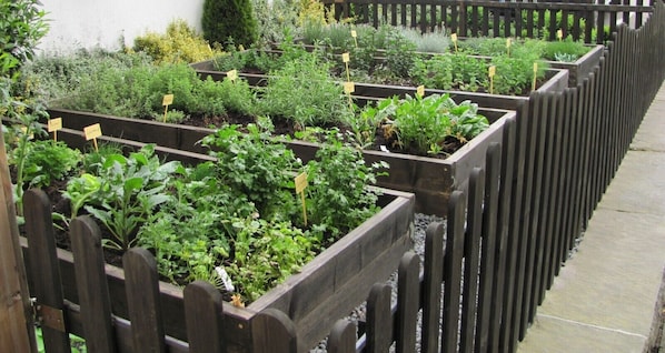 Blick auf den Garten