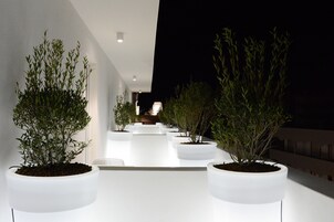 Vista desde la habitación