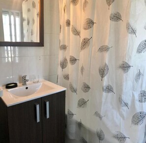 Combined shower/bathtub, free toiletries, hair dryer, bidet