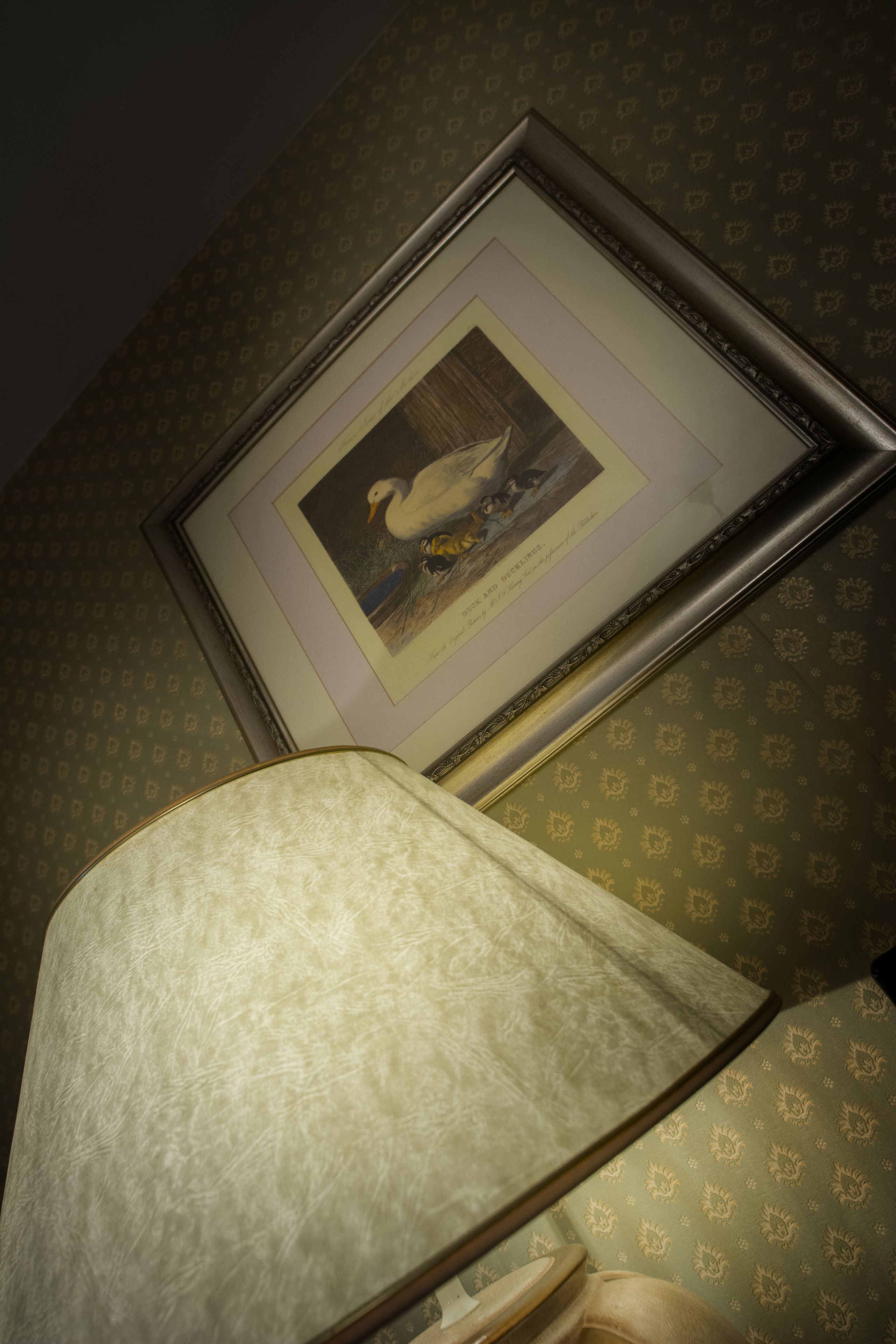 premium bedding, in-room safe, individually decorated