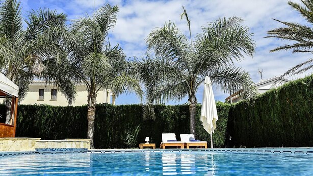 Une piscine avec des chaises longues et des palmiers.